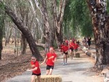 mud%20run%2061