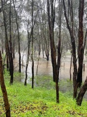 flooding%202022