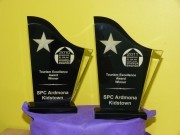 2010_2011_awards
